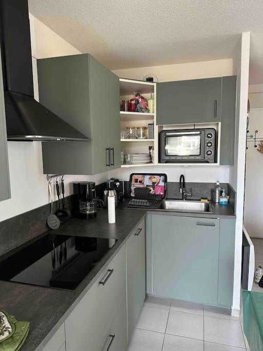 Face A La En Roussillon Appartement