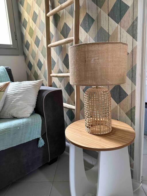 Appartement Face A La En Roussillon *